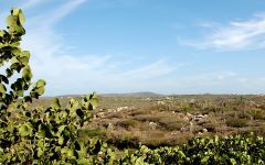 Aruba's Nature and Landscape