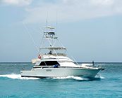 Boat: Sea-iesta a Bertram Sportfisherman 54ft