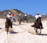 Horseback Riding