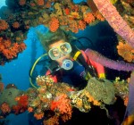 Scuba Diving