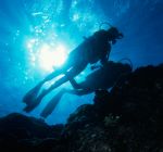 Aqua Windie's Dive Center