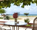 Aruba Sunset Beach Studios 