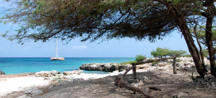 Boca Catalina - a stop  of many snorkel tours