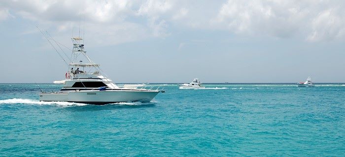 Fishing charter boats passing by