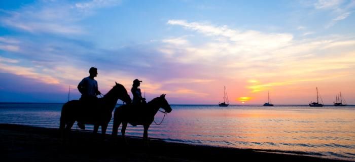 A private horseback riding tour at sunset