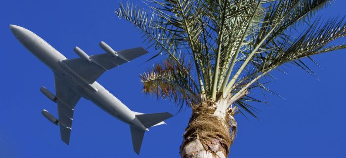 Vacation packages like Flight and Hotel