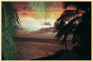 Aruba Sunset