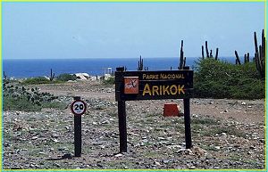 Arikok