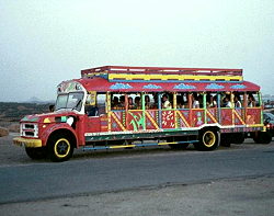 Kukoo Kunuko Bus Tour