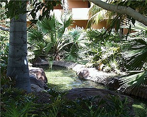 Garden at the Radisson