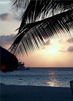Sunset at Palm Beach