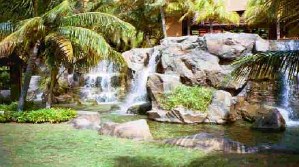 The waterfall in the garden