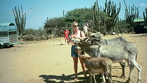 New friends at the donkey sanctuary