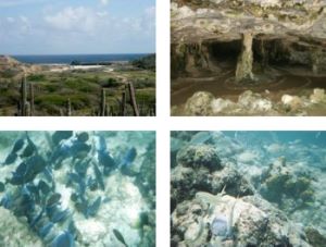Snorkeling, Coast and Cave