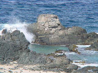 Natural Pool