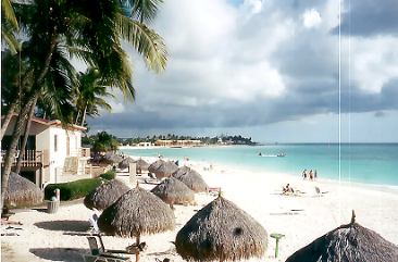 Divi Divi Beach Aruba