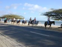 Horseback Riding