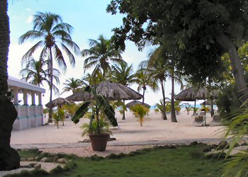 Manchebo Patio view