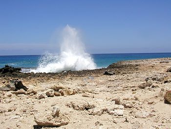 aruba north coast