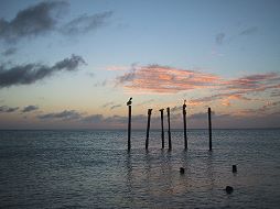 sunsetview