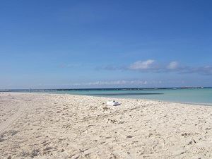 baby beach