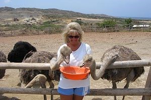 Ostrich Farm