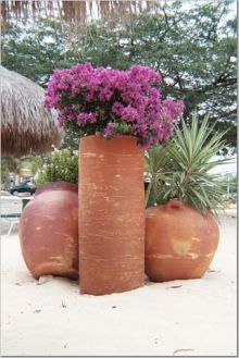 Flowers at the resort