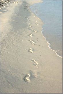 Foot prints