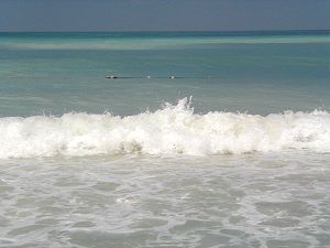 Waves.....