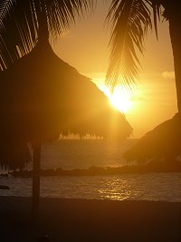 Sunset - Palapa and Ocean
