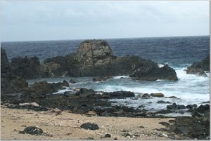 Natural Pool