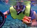 Aruba Bob's Snorkeling