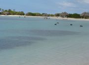 Baby Beach
